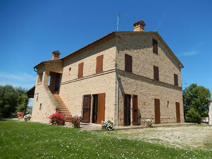 Immagine 3 di Rustico / casale in vendita  in Montelupone a Montelupone