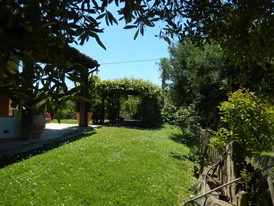 Immagine 19 di Rustico / casale in vendita  in Montelupone a Montelupone