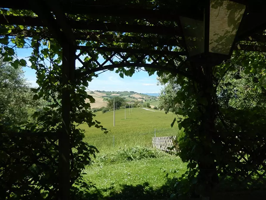 Immagine 20 di Rustico / casale in vendita  in Montelupone a Montelupone