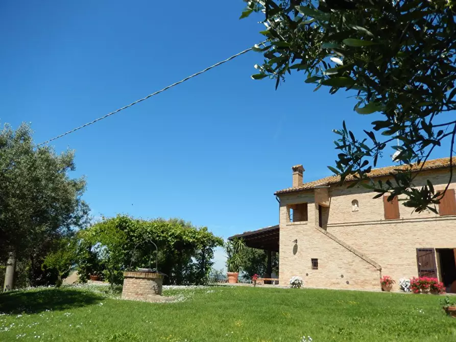 Immagine 11 di Rustico / casale in vendita  in Montelupone a Montelupone