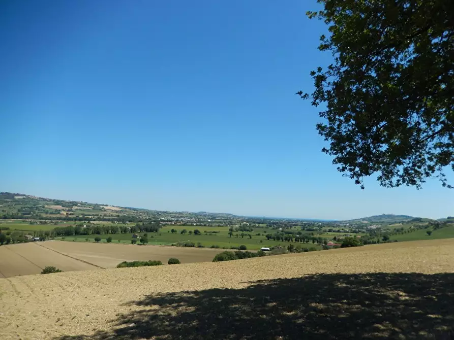 Immagine 10 di Rustico / casale in vendita  in Montelupone a Montelupone