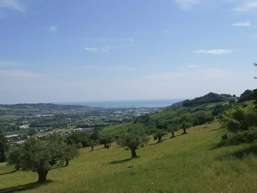 Immagine 8 di Rustico / casale in vendita  in Aso a Montefiore Dell'aso