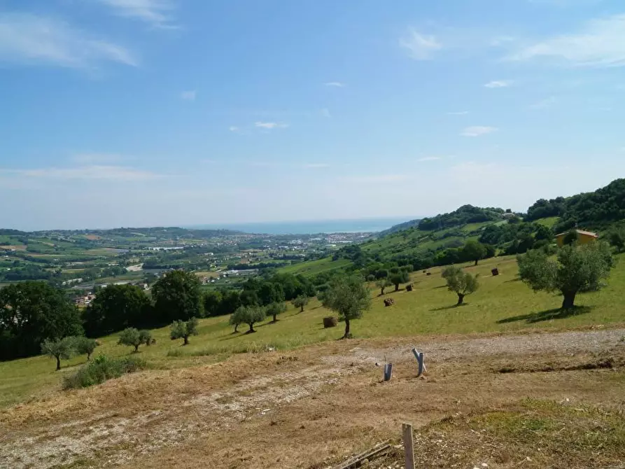 Immagine 14 di Rustico / casale in vendita  in Aso a Montefiore Dell'aso
