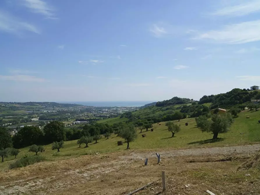 Immagine 15 di Rustico / casale in vendita  in Aso a Montefiore Dell'aso