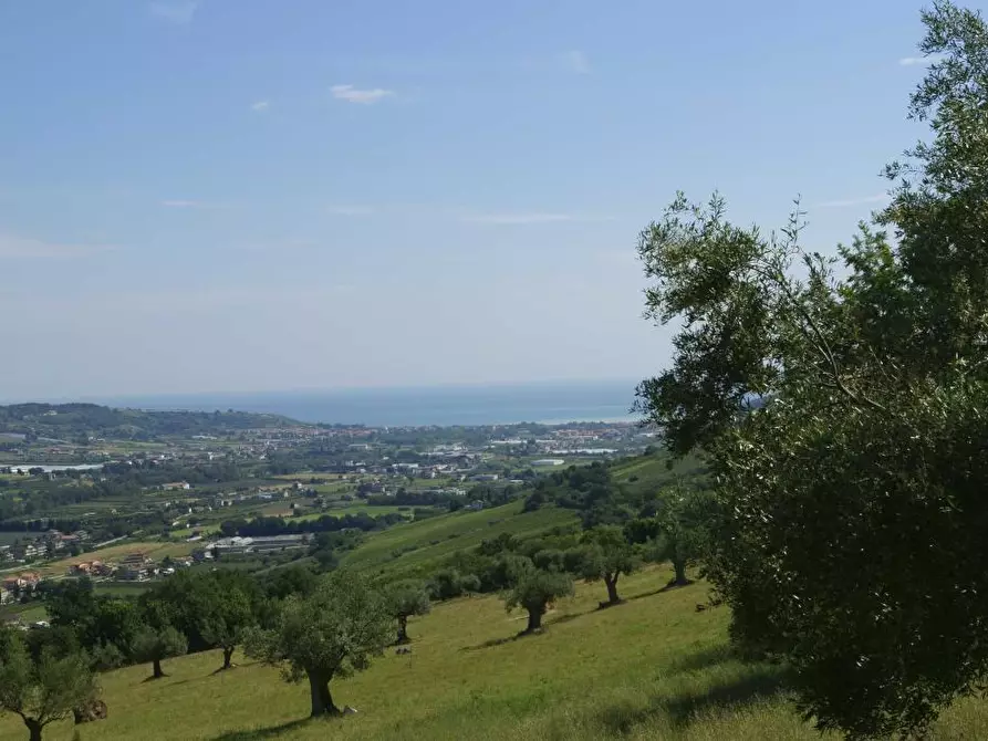 Immagine 17 di Rustico / casale in vendita  in Aso a Montefiore Dell'aso