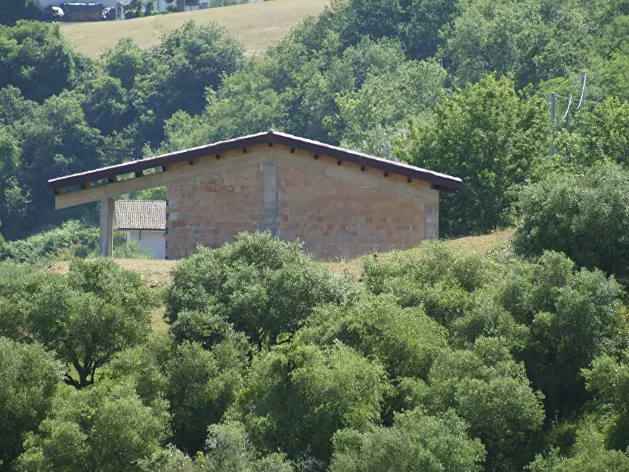 Immagine 20 di Rustico / casale in vendita  in Aso a Montefiore Dell'aso