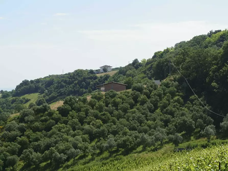 Immagine 22 di Rustico / casale in vendita  in Aso a Montefiore Dell'aso