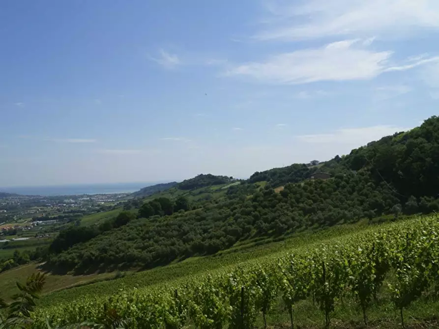 Immagine 23 di Rustico / casale in vendita  in Aso a Montefiore Dell'aso