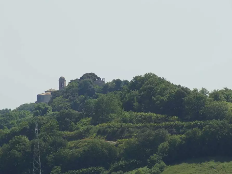 Immagine 25 di Rustico / casale in vendita  in Aso a Montefiore Dell'aso