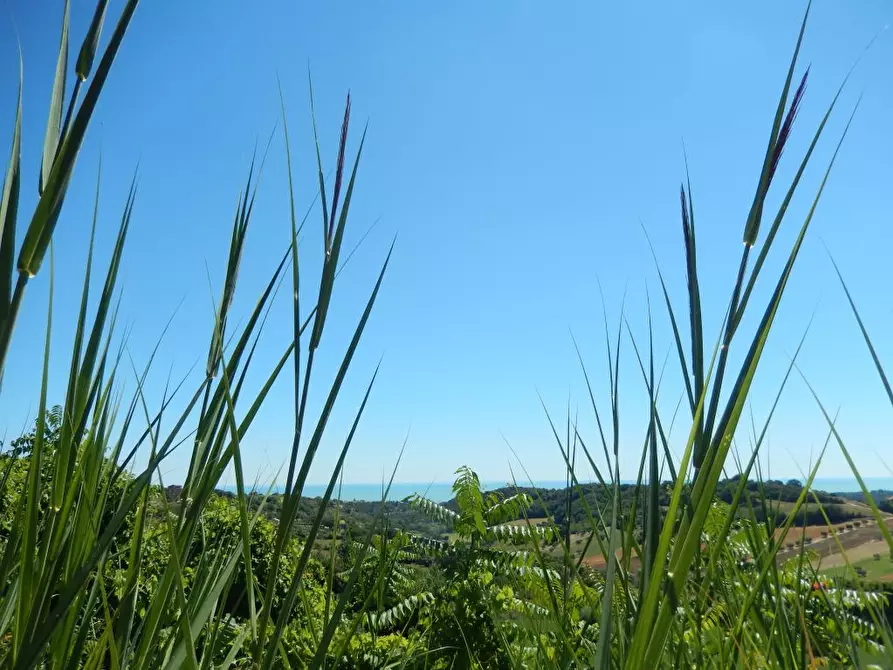 Immagine 11 di Rustico / casale in vendita  a Altidona