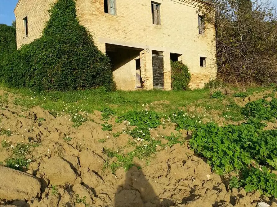 Immagine 2 di Rustico / casale in vendita  a Montelparo
