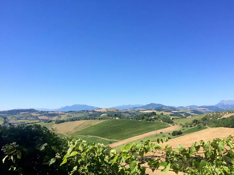 Immagine 4 di Rustico / casale in vendita  a Montelparo