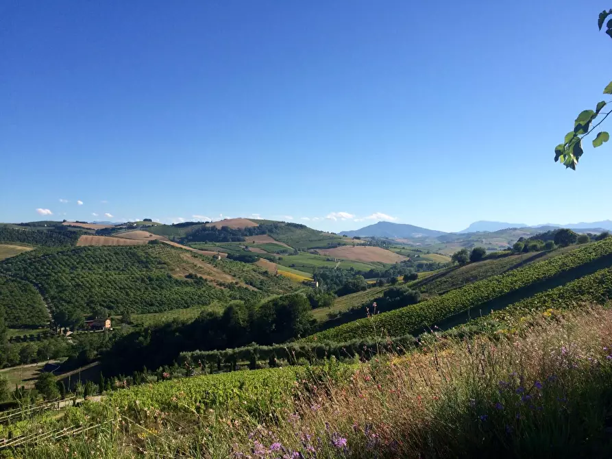 Immagine 7 di Rustico / casale in vendita  a Montelparo