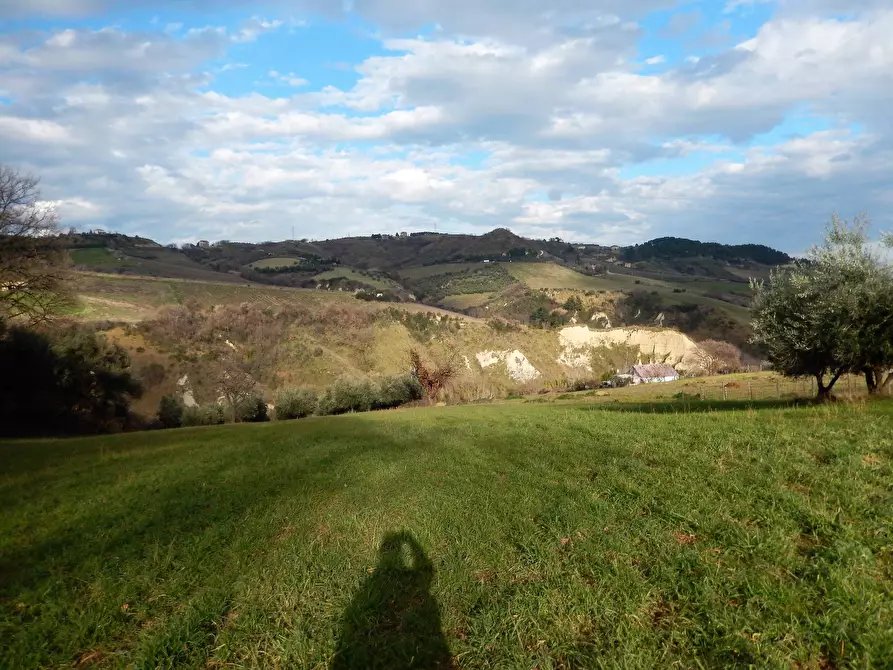 Immagine 10 di Rustico / casale in vendita  in Monteprandone, contrada Fonte Vecchia a Monteprandone