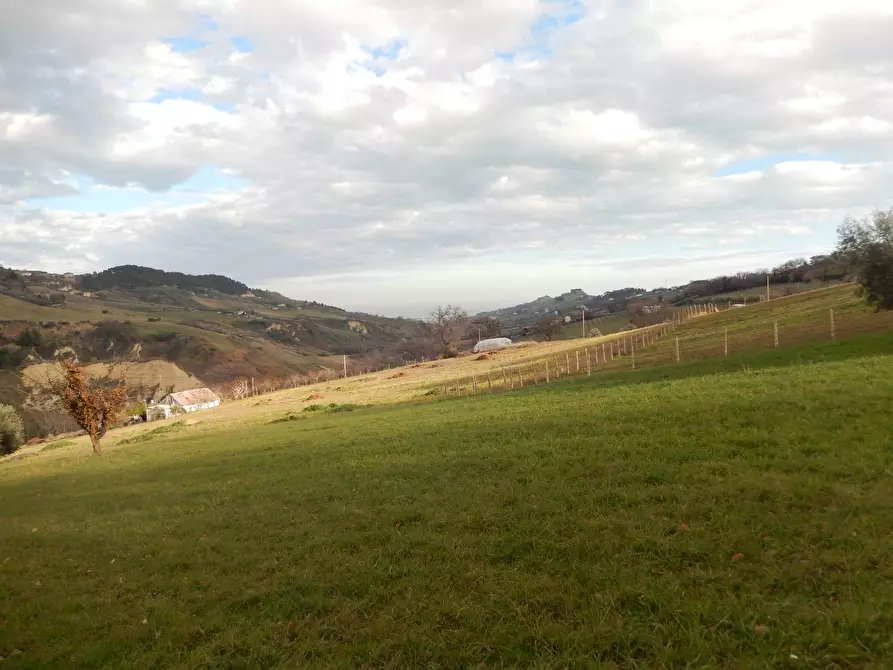 Immagine 6 di Rustico / casale in vendita  in Monteprandone, contrada Fonte Vecchia a Monteprandone