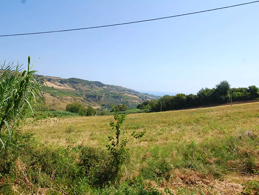 Immagine 8 di Rustico / casale in vendita  in Monteprandone, contrada Fonte Vecchia a Monteprandone