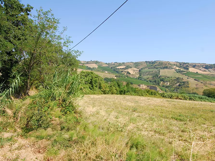 Immagine 9 di Rustico / casale in vendita  in Monteprandone, contrada Fonte Vecchia a Monteprandone