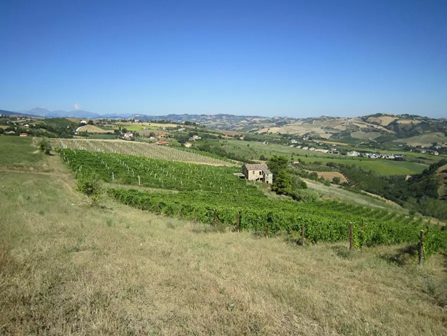 Immagine 2 di Rustico / casale in vendita  in Borgo Miriam a Offida
