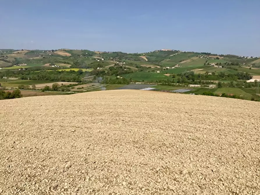 Immagine 6 di Rustico / casale in vendita  in Montalto delle Marche, contrada San Lorenzo a Montalto Delle Marche