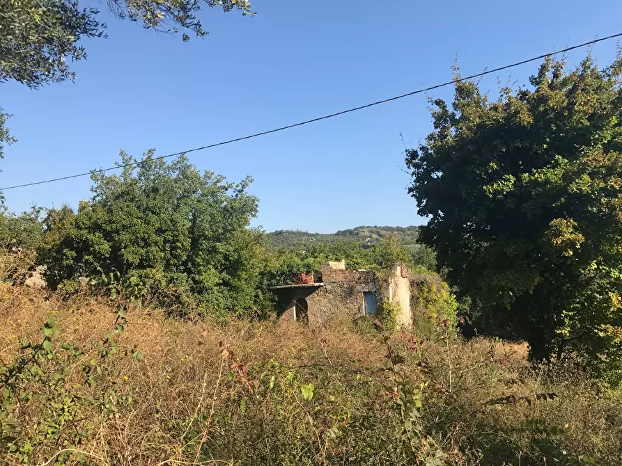Immagine 2 di Rustico / casale in vendita  in Contrada Fonte Vecchia a Monteprandone