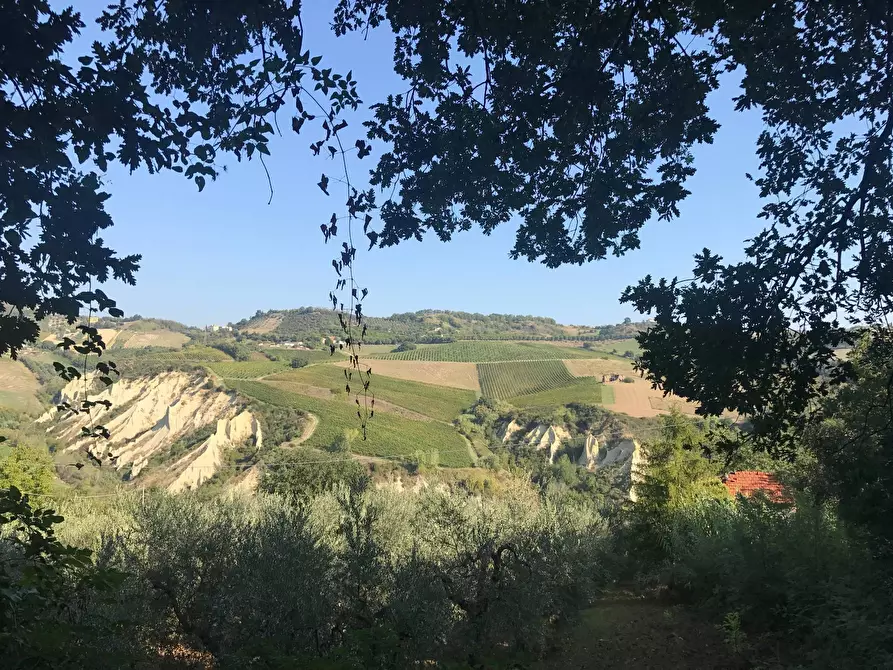 Immagine 16 di Rustico / casale in vendita  in Contrada Fonte Vecchia a Monteprandone
