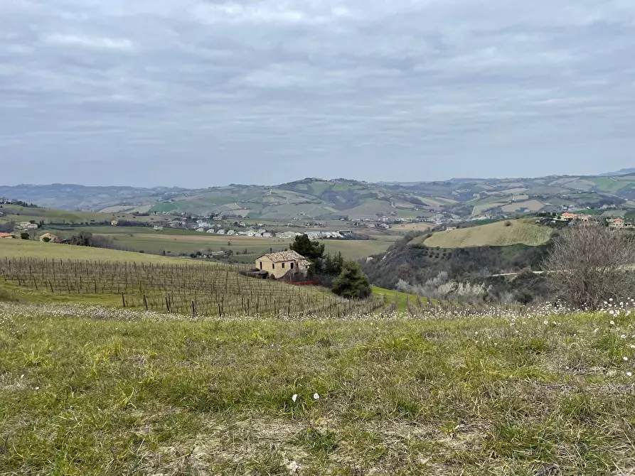 Immagine 6 di Rustico / casale in vendita  in Borgo Miriam a Offida