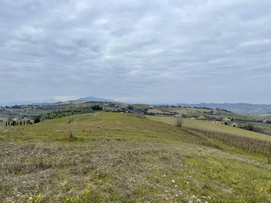 Immagine 7 di Rustico / casale in vendita  in Borgo Miriam a Offida