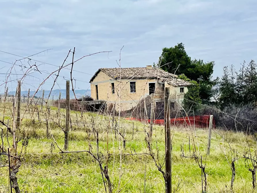 Immagine 9 di Rustico / casale in vendita  in Borgo Miriam a Offida