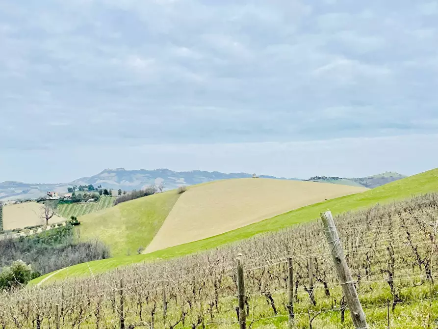 Immagine 10 di Rustico / casale in vendita  in Borgo Miriam a Offida