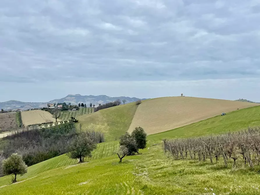 Immagine 11 di Rustico / casale in vendita  in Borgo Miriam a Offida