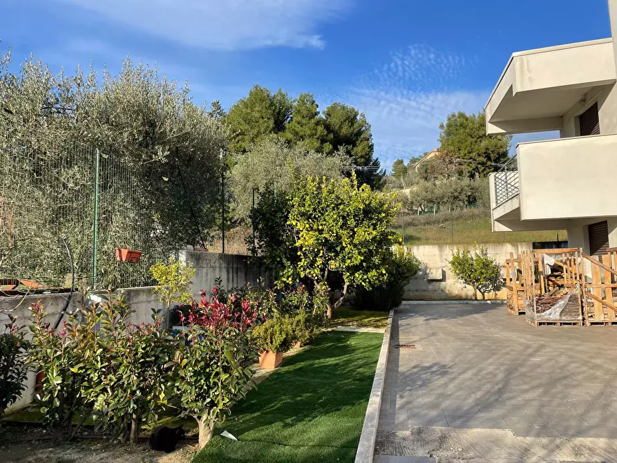 Immagine 21 di Villa in vendita  in val tesino a Grottammare