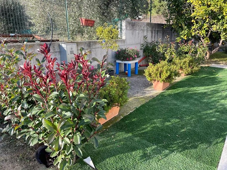 Immagine 23 di Villa in vendita  in val tesino a Grottammare