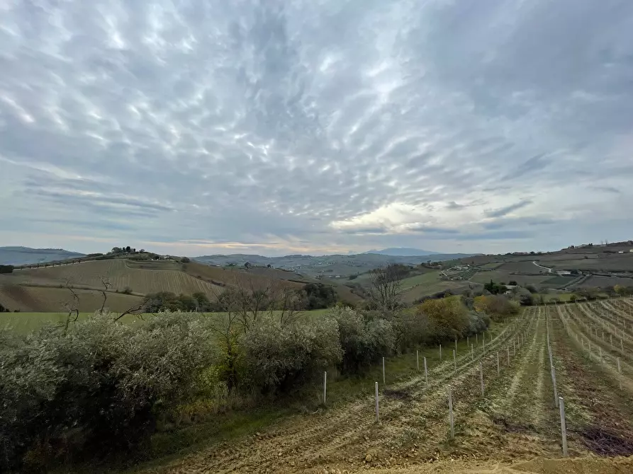 Immagine 4 di Rustico / casale in vendita  a Cossignano