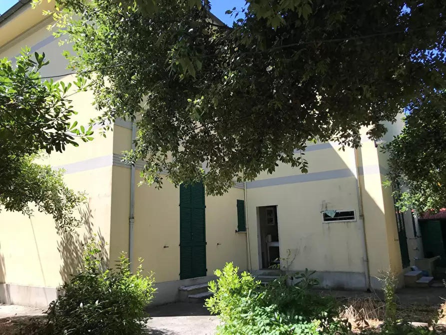 Immagine 6 di Villa in vendita  in Marina di Pietrasanta a Pietrasanta