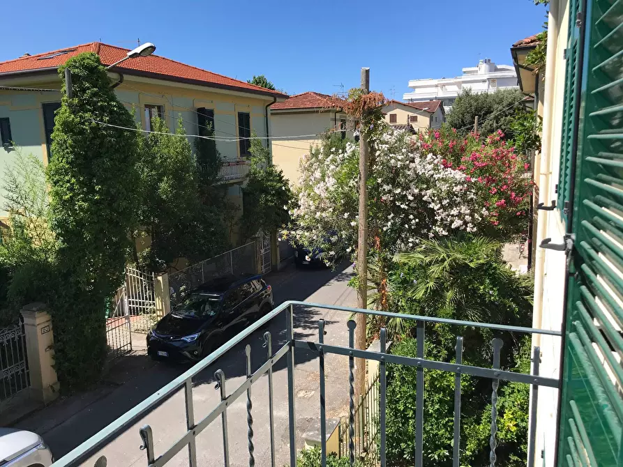 Immagine 5 di Villa in vendita  in Marina di Pietrasanta a Pietrasanta