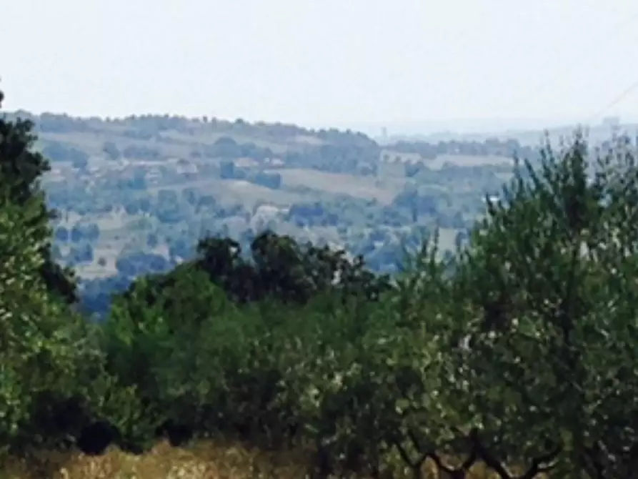 Immagine 6 di Rustico / casale in vendita  in Via degli Schiavoni a Camerano