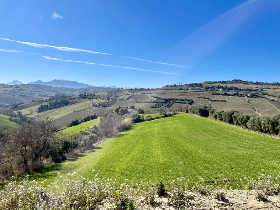 Immagine 10 di Rustico / casale in vendita  a Cossignano