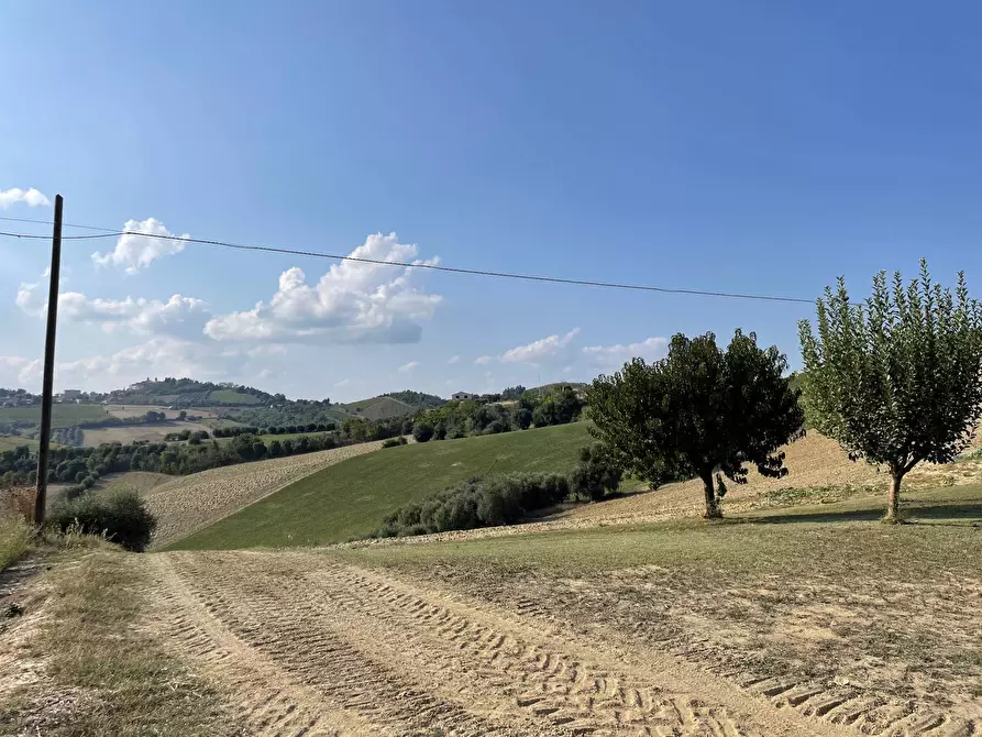 Immagine 17 di Rustico / casale in vendita  a Cossignano