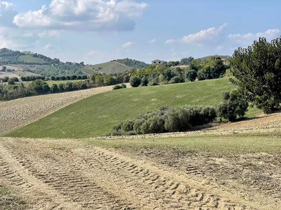 Immagine 18 di Rustico / casale in vendita  a Cossignano