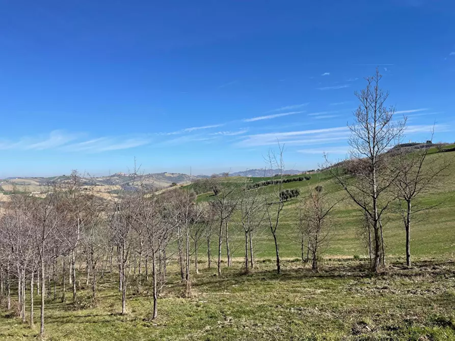 Immagine 9 di Rustico / casale in vendita  a Castignano