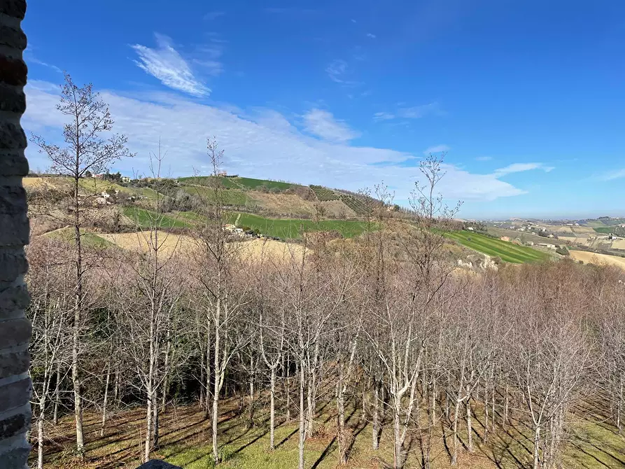 Immagine 16 di Rustico / casale in vendita  a Castignano