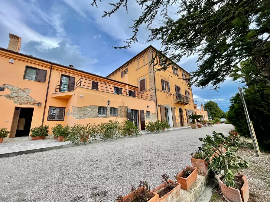 Immagine 12 di Villa in vendita  in Borgo Miriam a Offida