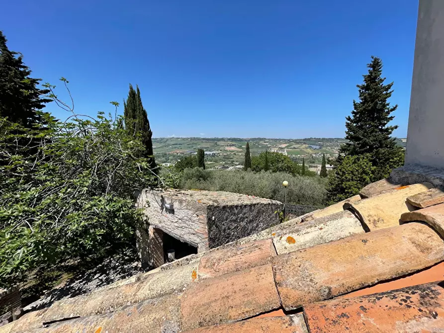 Immagine 21 di Rustico / casale in vendita  a Campofilone