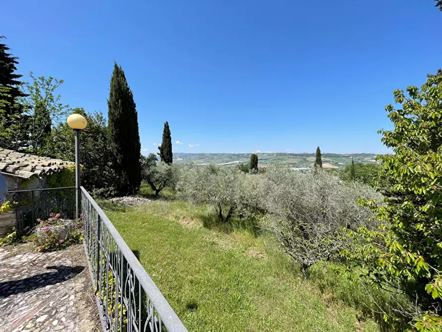 Immagine 2 di Rustico / casale in vendita  a Campofilone