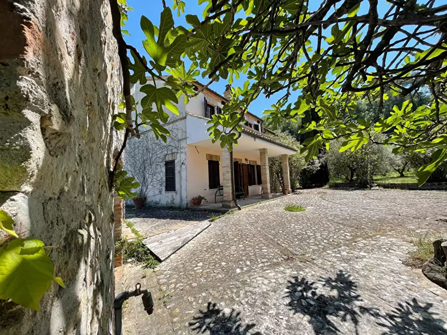 Immagine 28 di Rustico / casale in vendita  a Campofilone