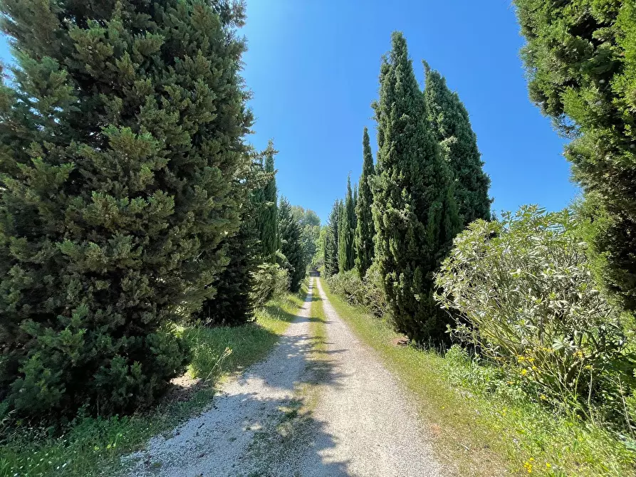 Immagine 30 di Rustico / casale in vendita  a Campofilone