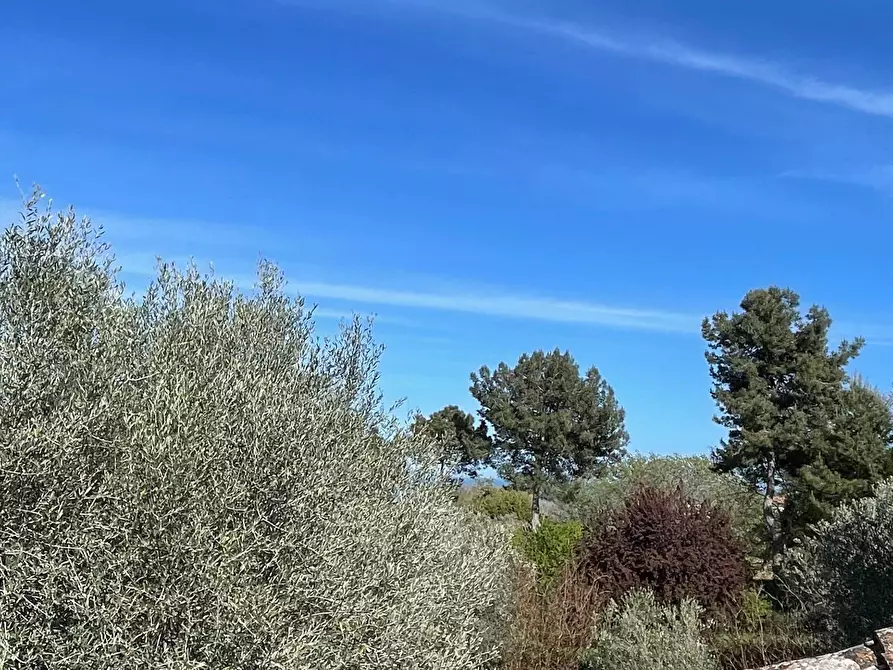 Immagine 17 di Villa in vendita  in Contrada Castelletta a Civitanova Marche