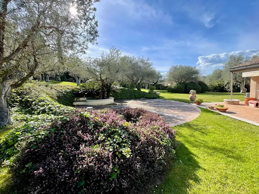 Immagine 26 di Villa in vendita  in Contrada Castelletta a Civitanova Marche