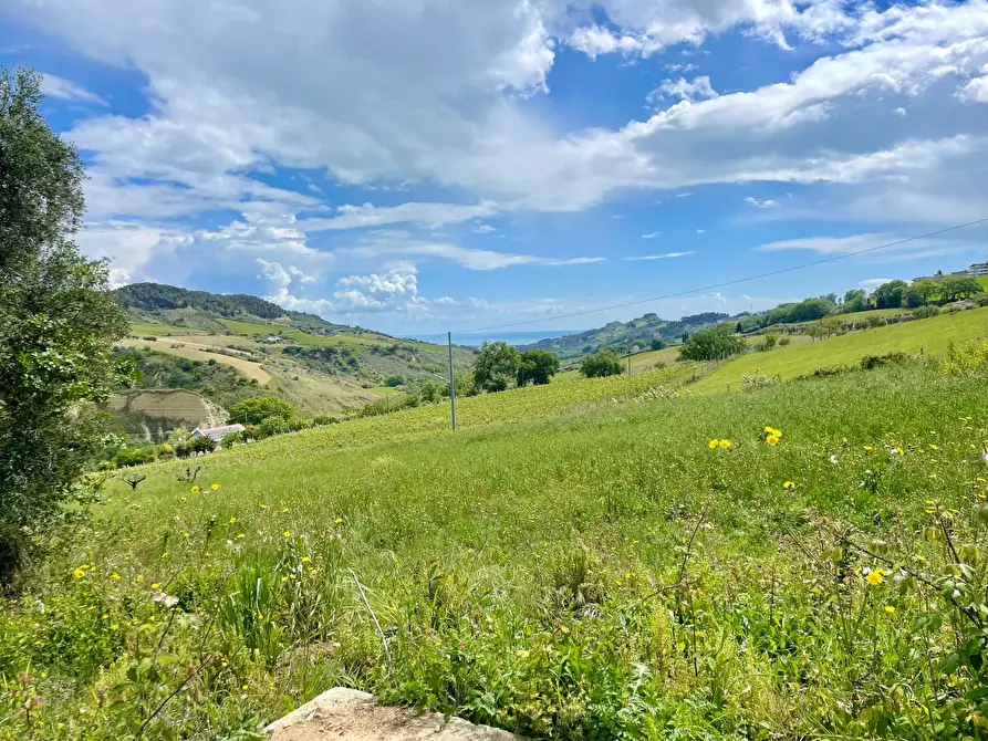 Immagine 23 di Rustico / casale in vendita  in Monteprandone, contrada Fonte Vecchia a Monteprandone