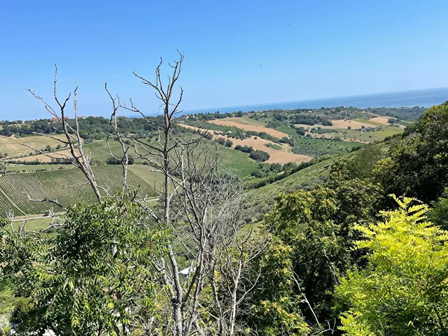 Immagine 15 di Casa indipendente in vendita  a Altidona
